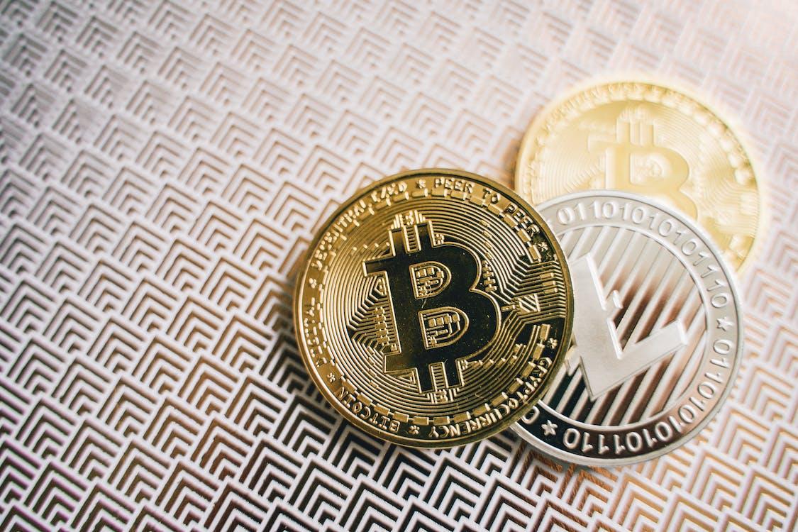 Take the Crypto Market by Storm With Xbitcoin Capex Club